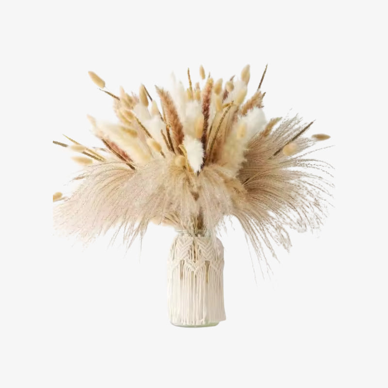 Bouquet of dried pampas grass in a woven vase on a white background