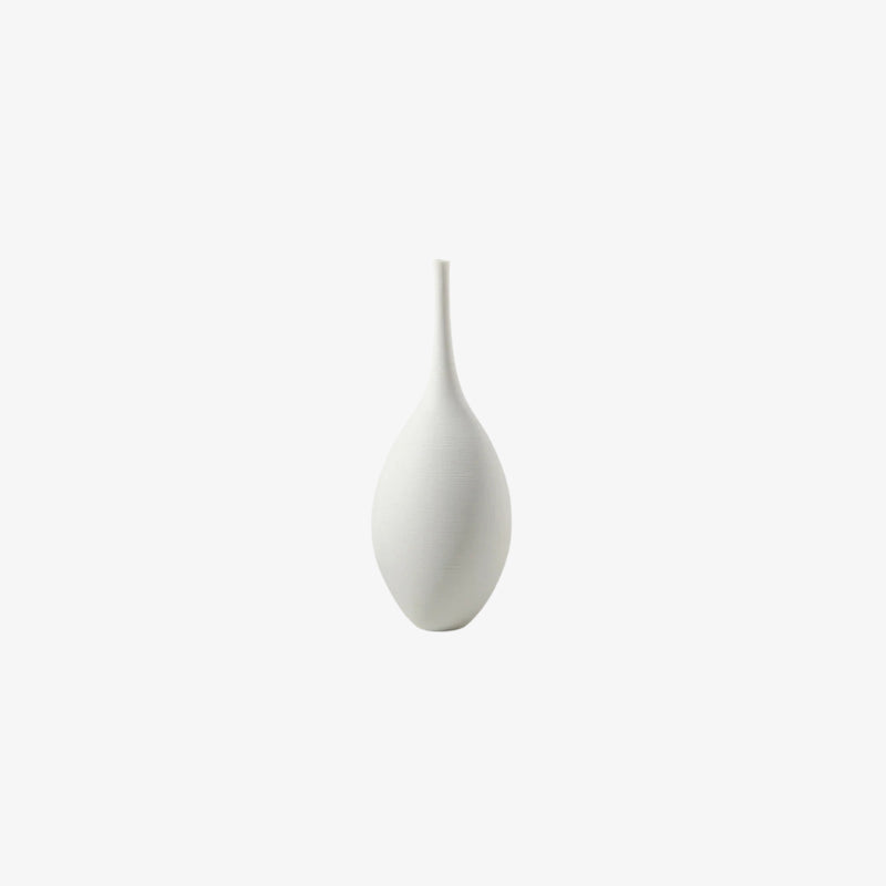 Flower vase decor on a white background