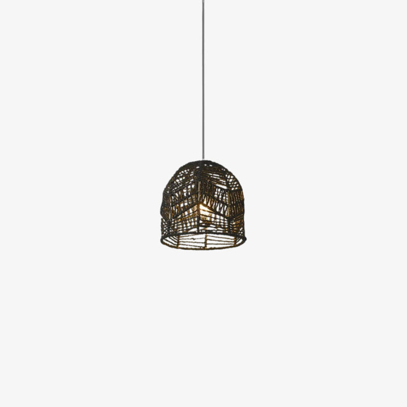 hanging black light fixture on a white background