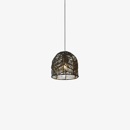 hanging black light fixture​ on a white background