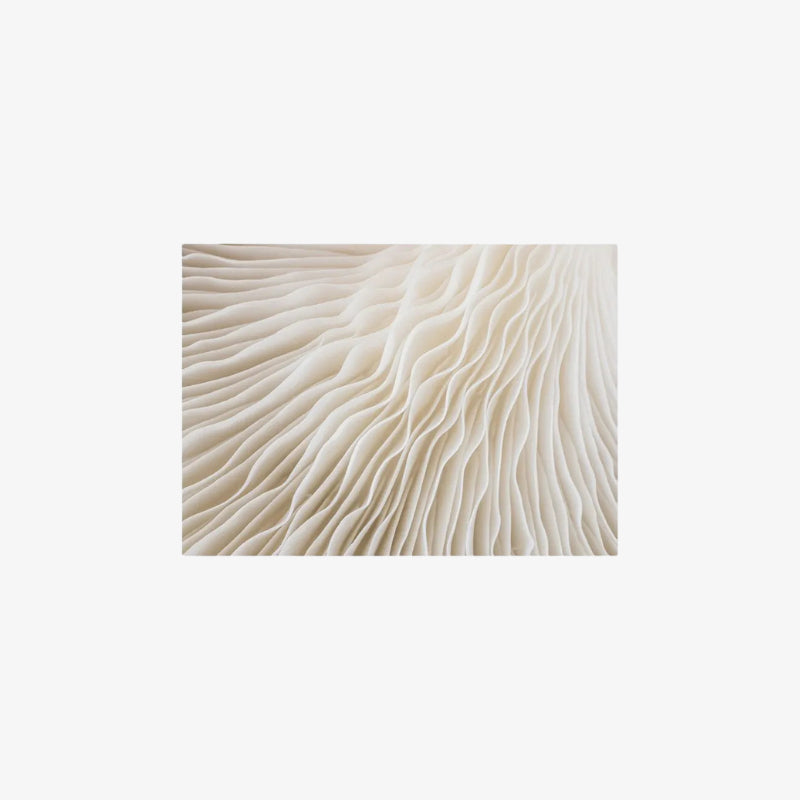 wave art print​ on a white background